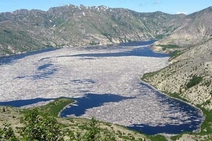 Windy Ridge - A view of Spirit Lake from the Truman Trail