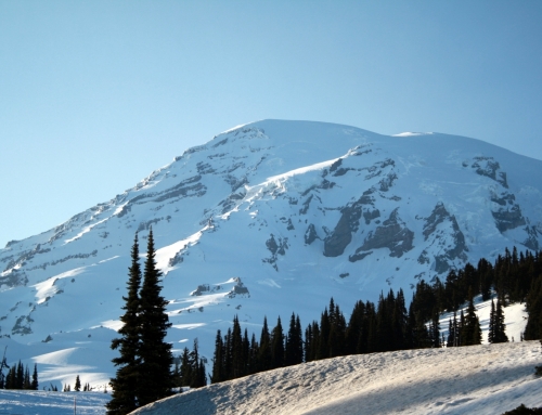 Mount Rainier National Park Expands Winter Access