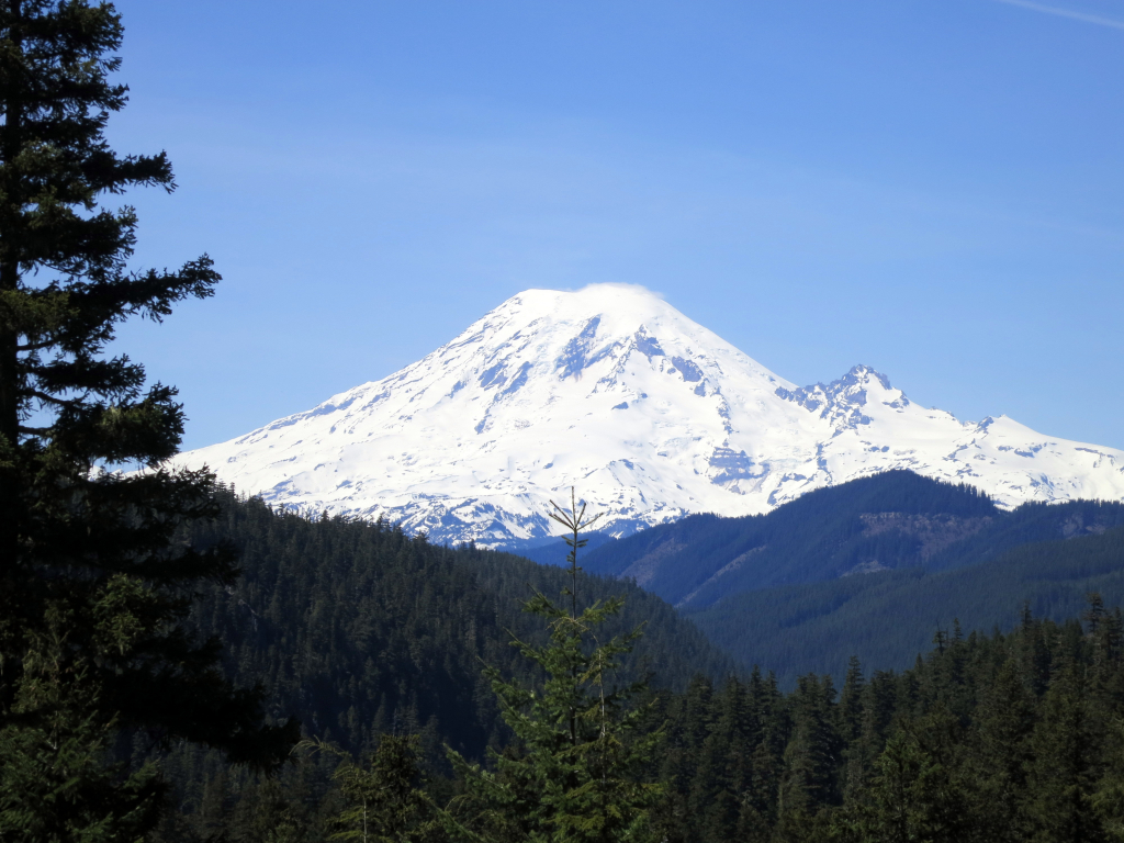 Fire Restrictions to go into Effect at Gifford Pinchot National Forest