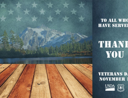 Forest Service Announces Fee-Free Day for Veterans Day