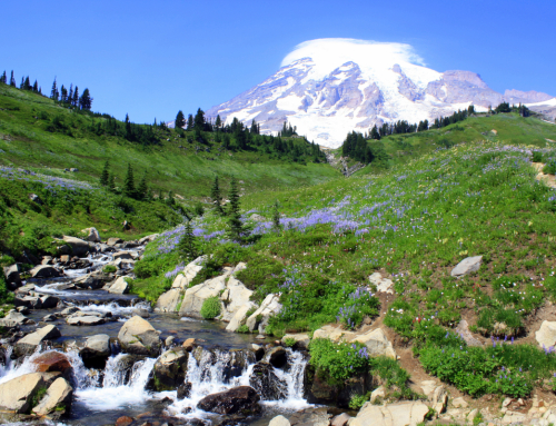 Many Mount Rainier National Park visitors will need reservations in summer 2024