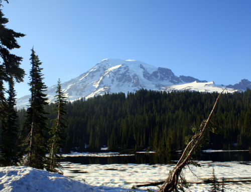 Timed entry reservation period begins at Mt. Rainier National Park