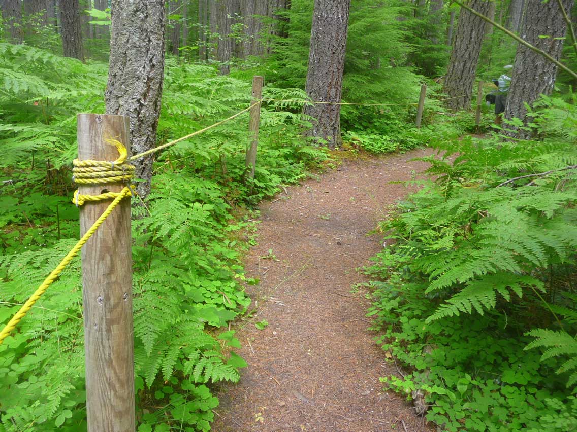 RT-CispusLoop-Cispus-Area_The-Braille-Trail