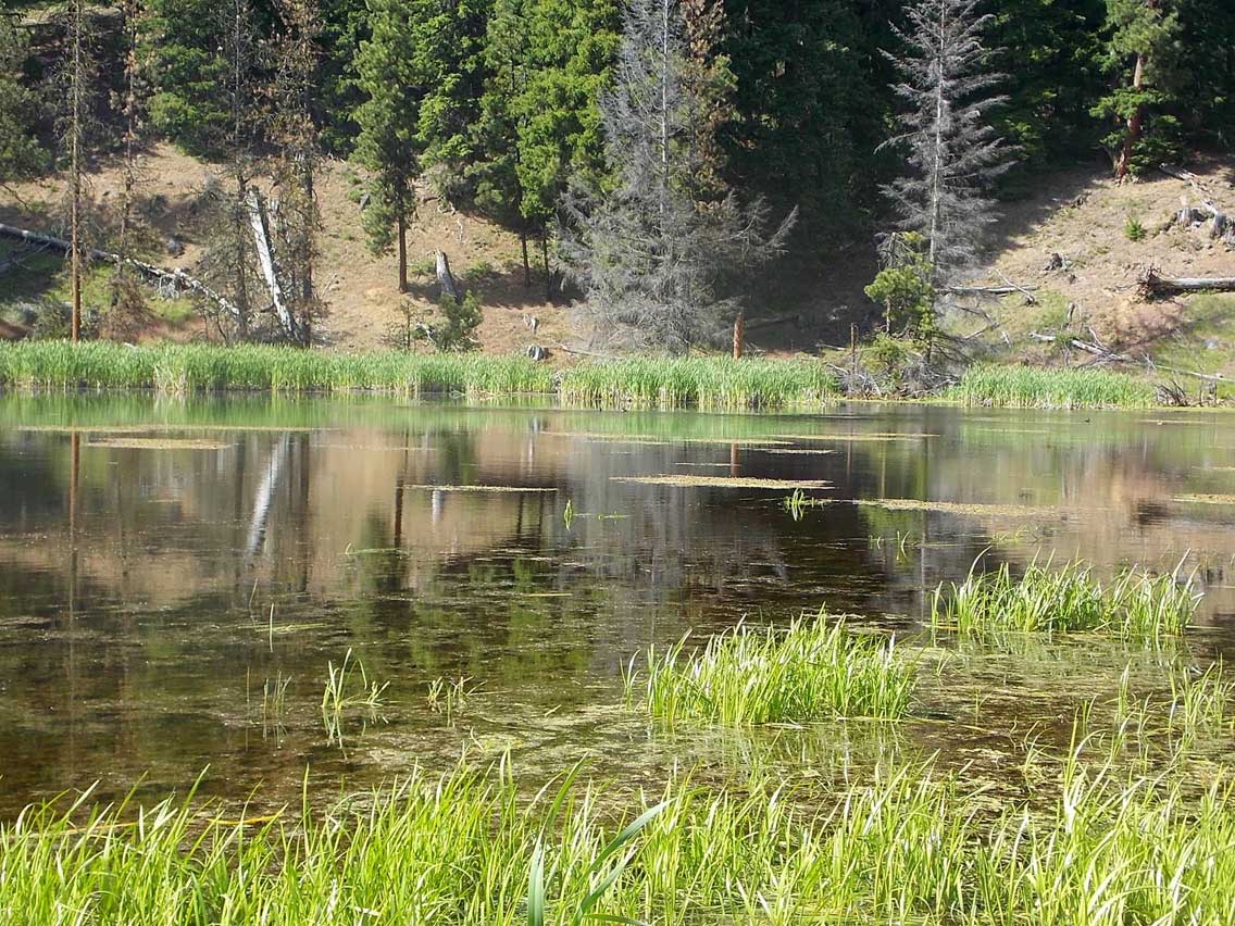 RT-Rimrock-Lake-Recreation-Loop-Lakeshore-reflections-Peninsula-Campground