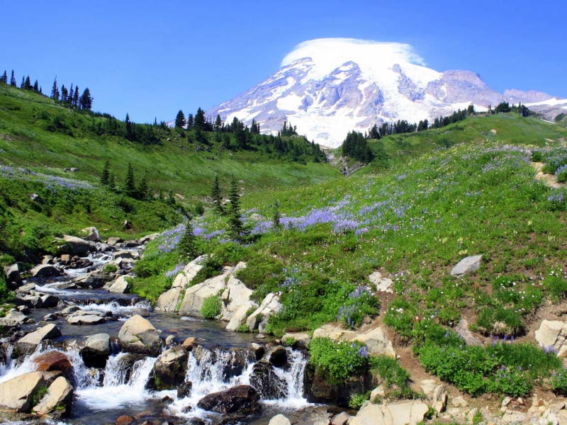 RT-WSL-place-at-the-top-800x600