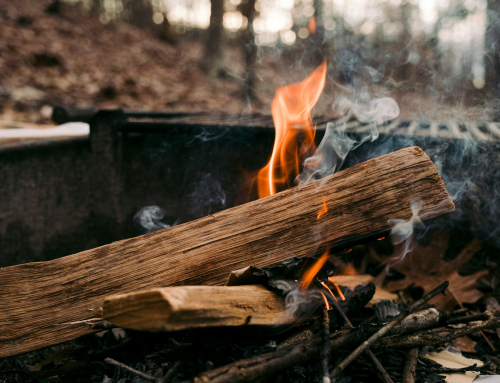 Public Use Fire Restrictions lifted at Gifford Pinchot National Forest