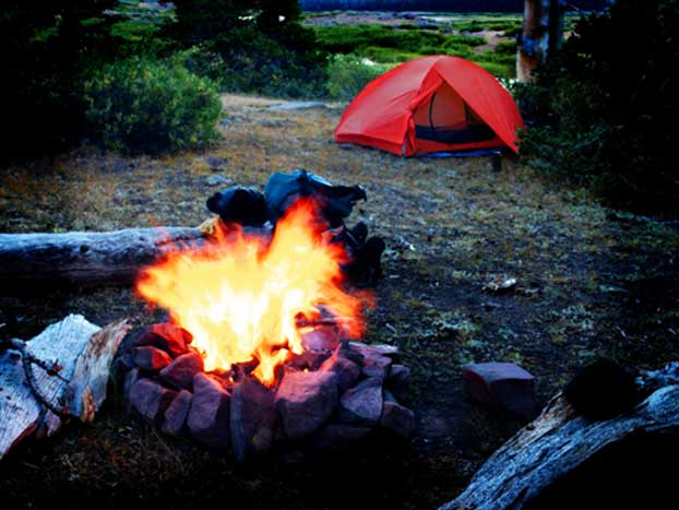 A bright campfire surrounded by rocks crackles in a grassy clearing. In the background, a red tent is set up among green shrubs and trees, under an open sky. Logs are scattered around the campsite.