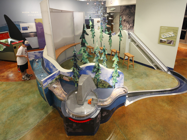 A child observes an interactive exhibit simulating a forest with water channels and model trees. The display features educational signs and a slide, set in a colorful, indoor environment with polished floors.