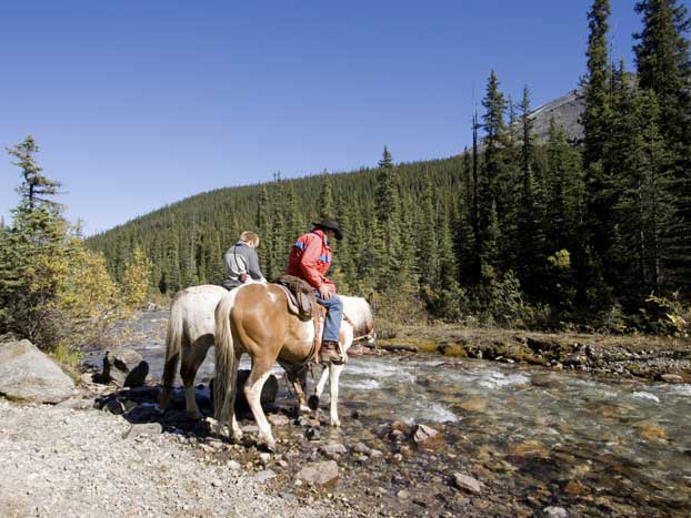 Two people riding horses cross a shallow stream in a forested area. The clear sky and tall trees create a serene, natural setting. The riders appear to be navigating the rocky terrain, highlighting an outdoor adventure scene.