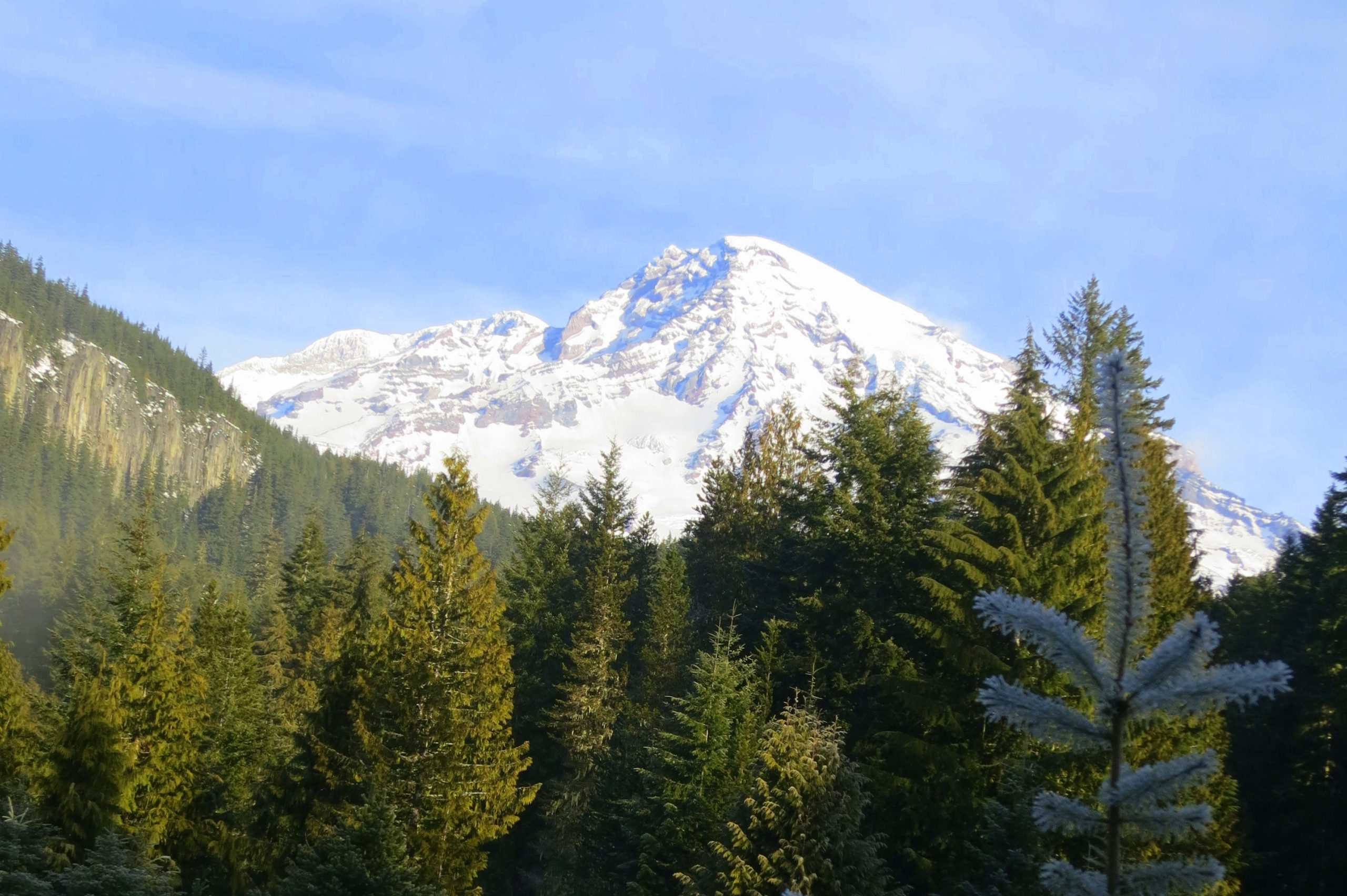 National Park Inn 2014 (8)