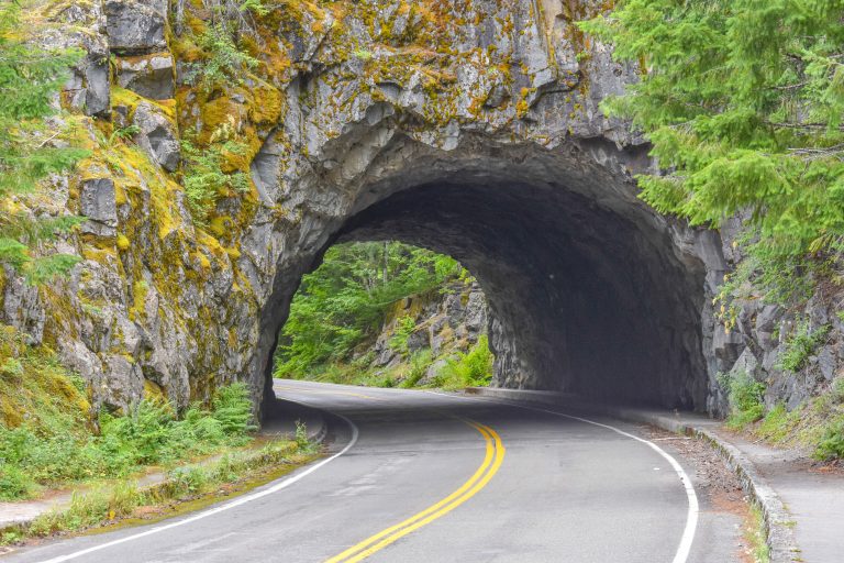 Ohanapecosh Box Canyon