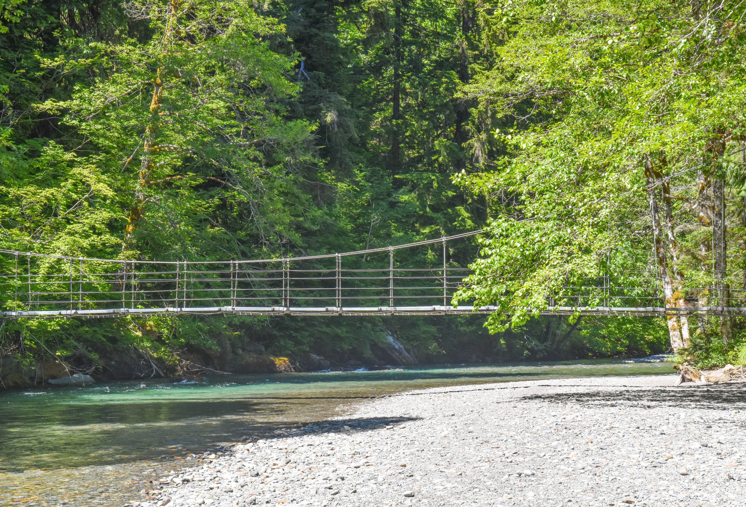 Ohanapecosh Bridge