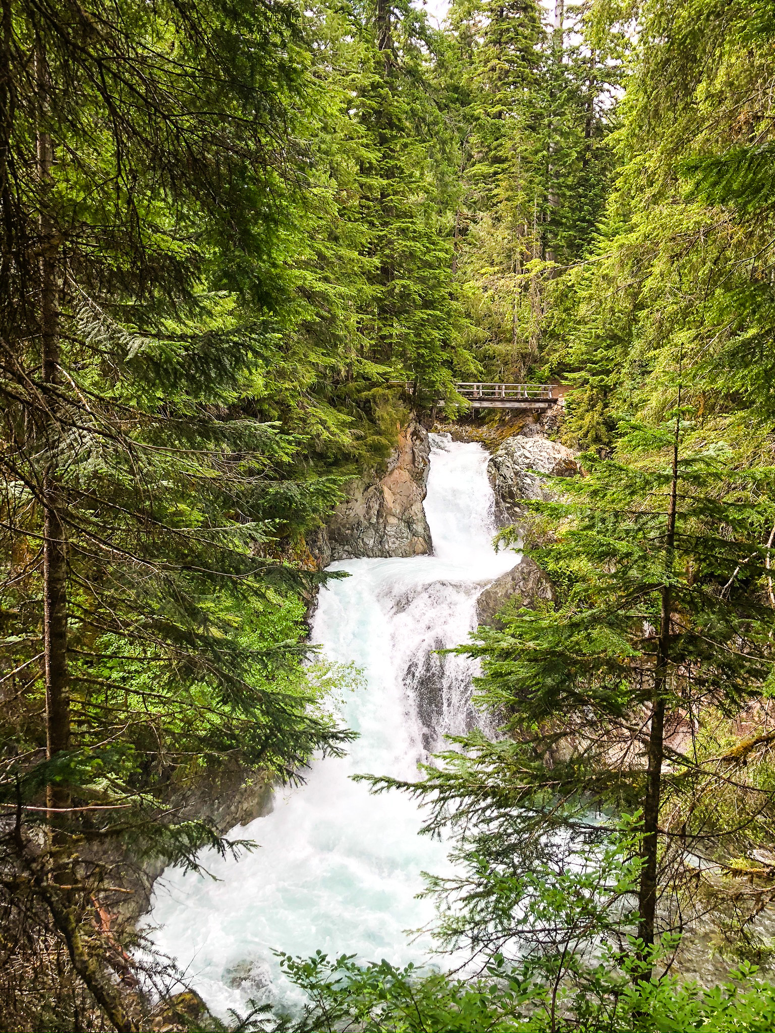 Ohanapecosh Waterfall