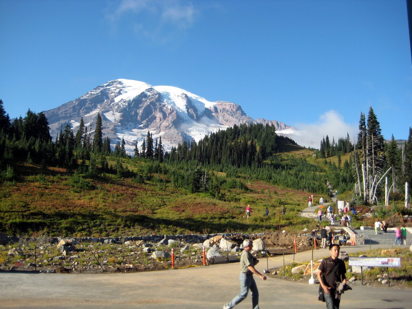 Rainier