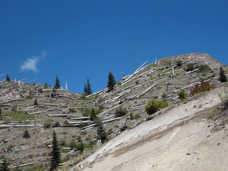 Another view of the blast zone