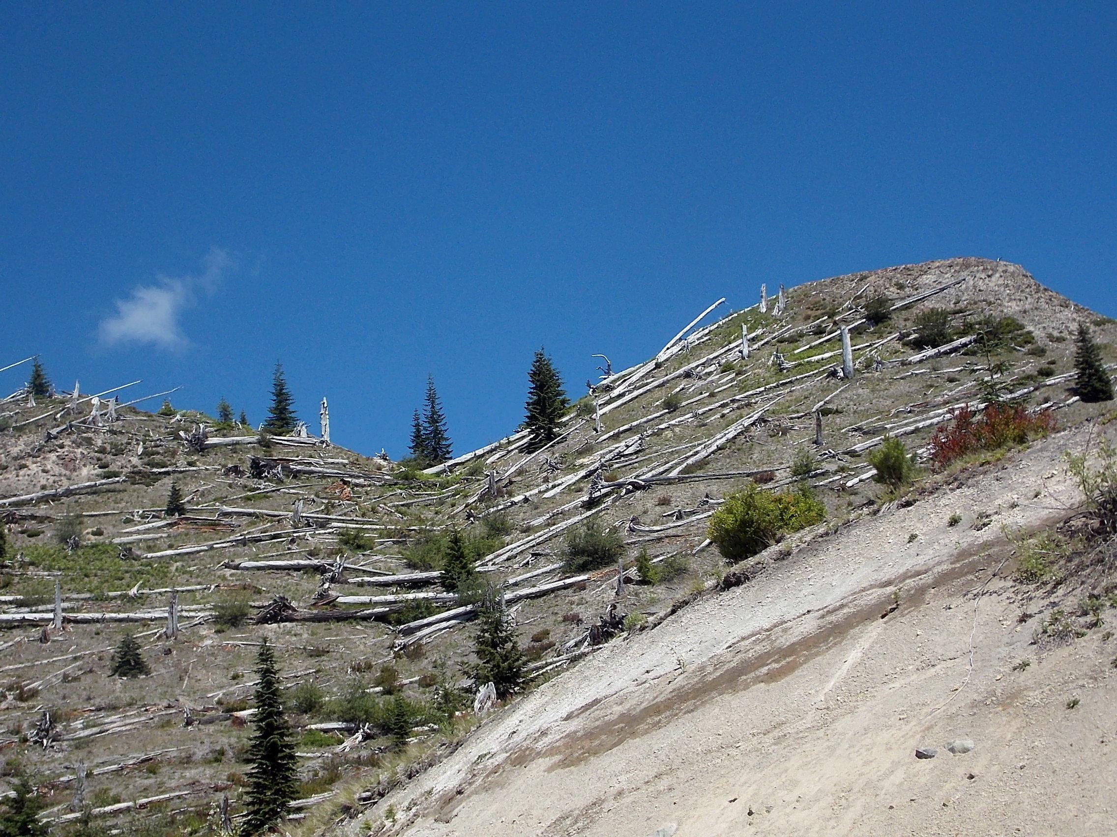 Another view of the blast zone