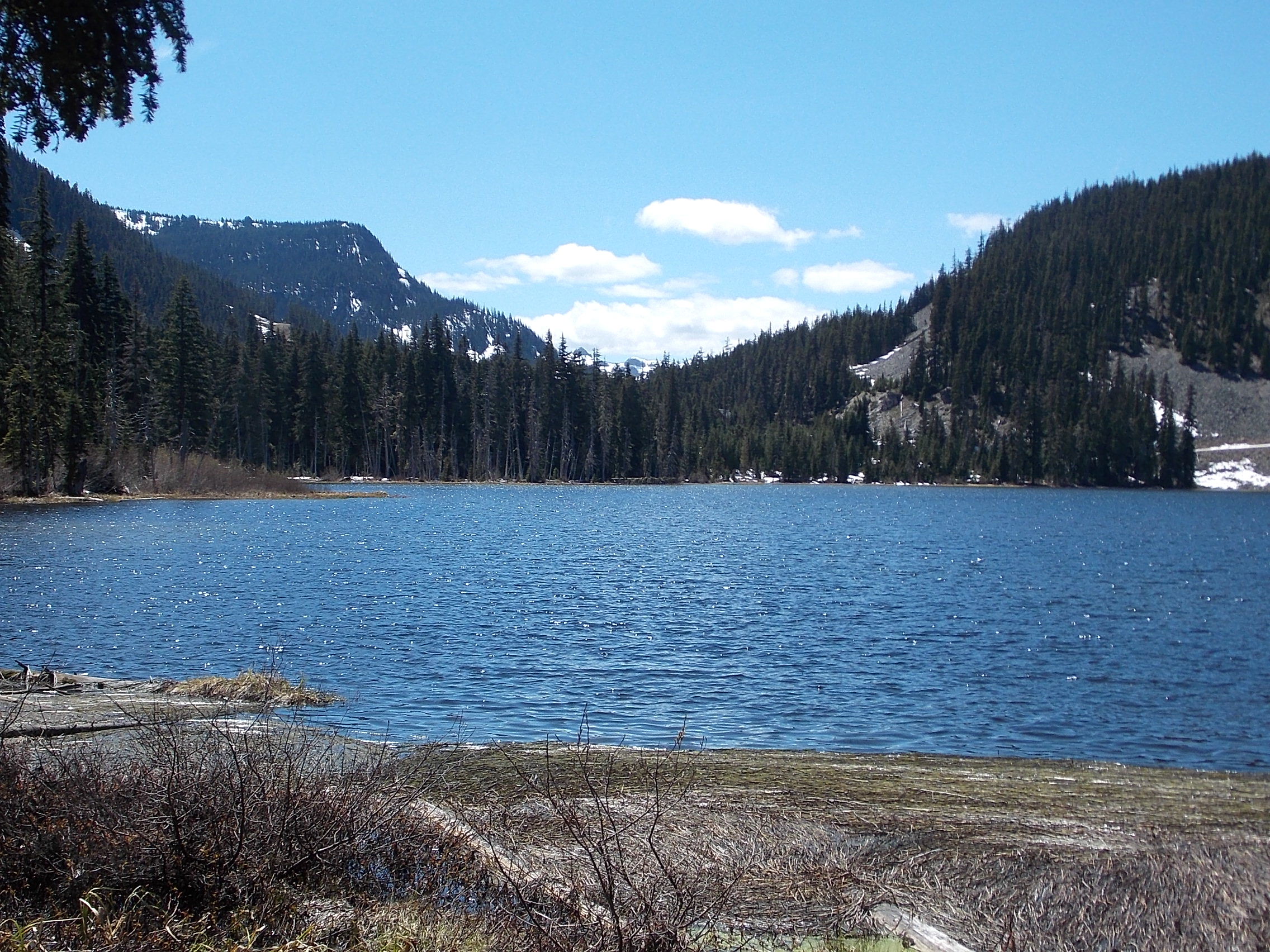 Leach Lake, near White Pass